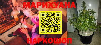 индика Изобильный
