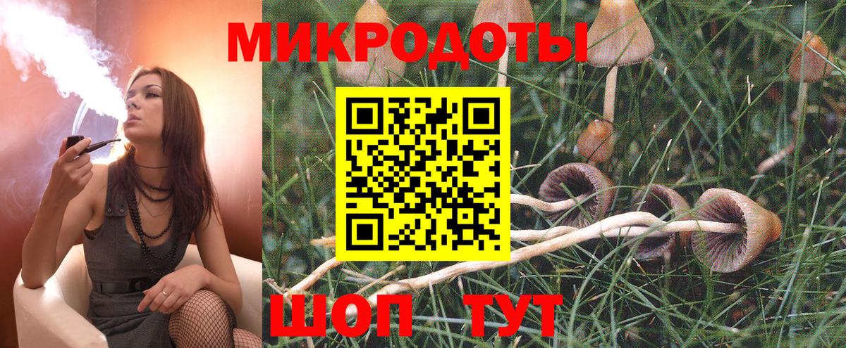 Лениногорск  Псилоцибиновые грибы GOLDEN TEACHER  Вход с VPN  Псилоцибиновые грибы мицелий 
