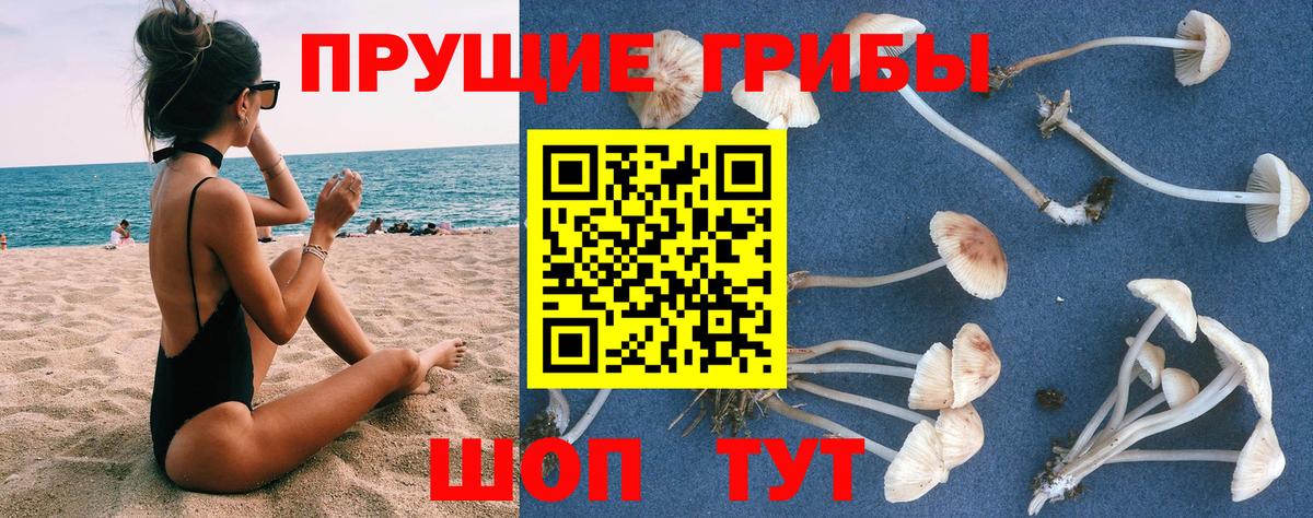 Псилоцибиновые грибы Magic Shrooms Лениногорск